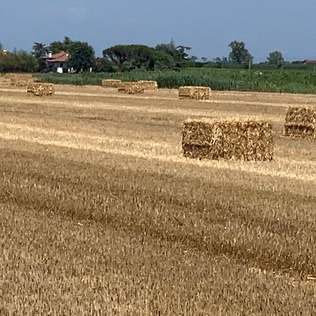 Agriturismo Ca' Alleata Каорле Экстерьер фото