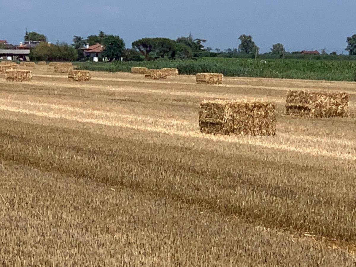 Agriturismo Ca' Alleata Каорле Экстерьер фото